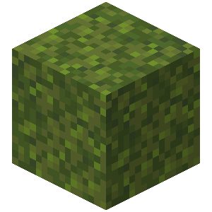 Moss Block